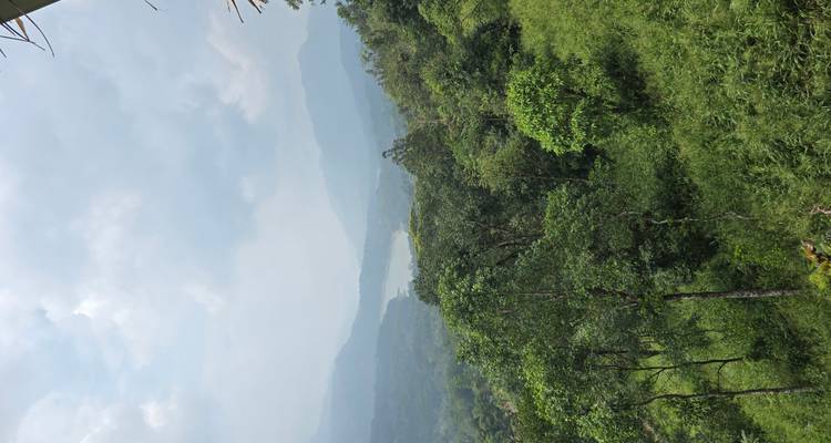 Schilderachtig uitzicht op weelderig groen bos en bergen met een rivier in de verte.