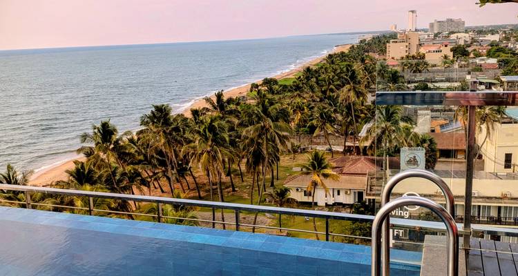 Piscina infinita con vista a una costa con palmeras.