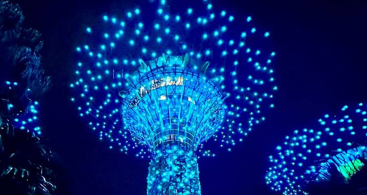 Kleurrijke verlichte futuristische bomen 's nachts in een parkomgeving.