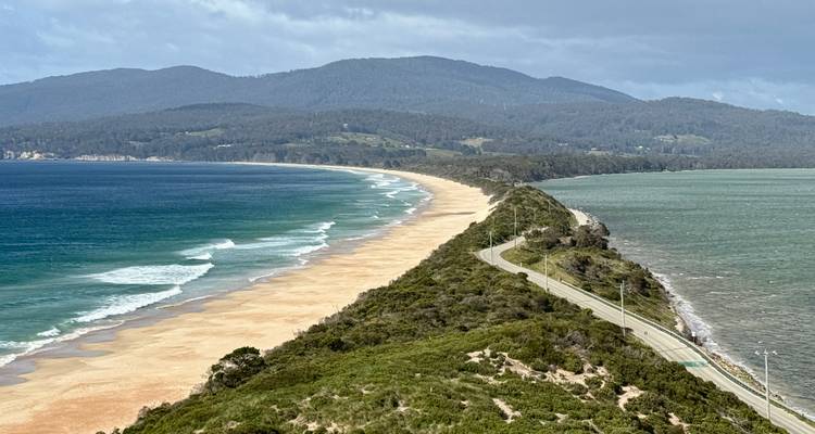 Una playa arenosa con un largo tramo de costa que se encuentra con una zona boscosa.