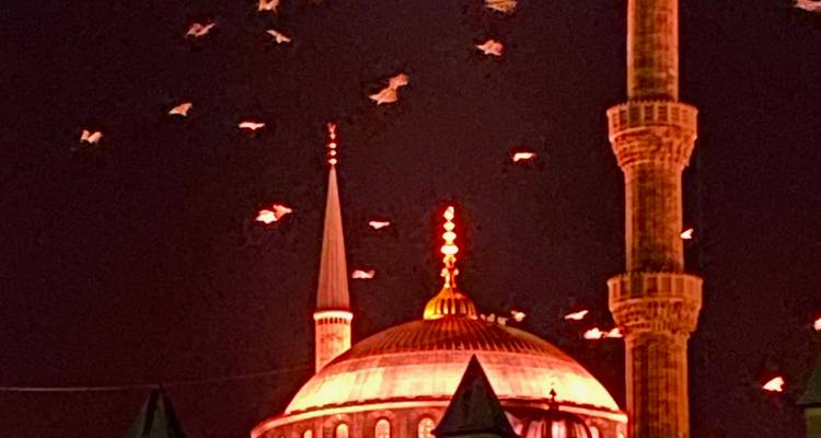 Moskee met verlichte koepel en minaretten 's nachts.