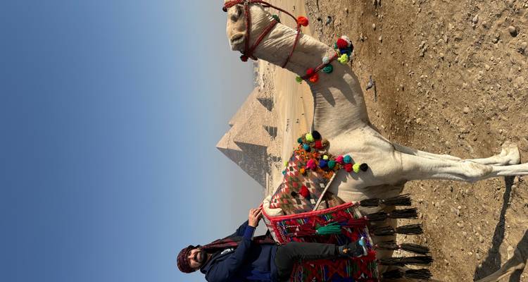 Person auf einem geschmückten Kamel mit Pyramiden im Hintergrund.