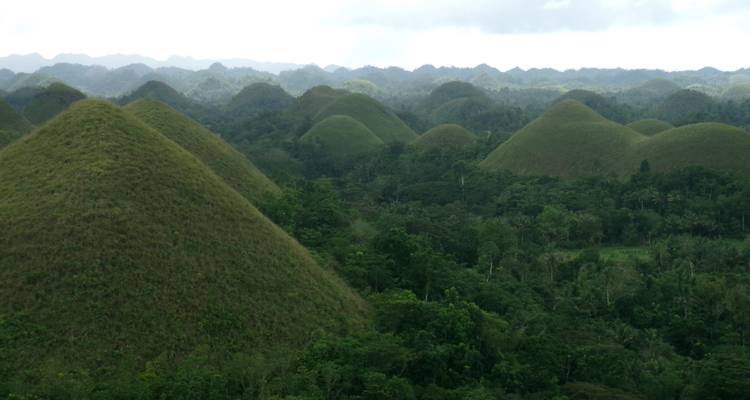 Hügel bedeckt mit üppigem Grün, die Schokoladenhügeln ähneln.