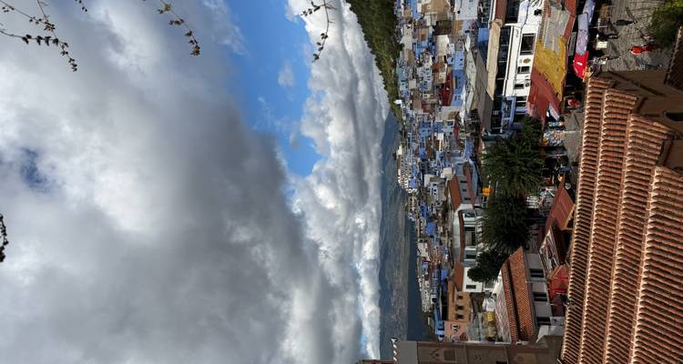 Een panoramisch uitzicht op een stad met blauw geschilderde gebouwen en beboste heuvels.