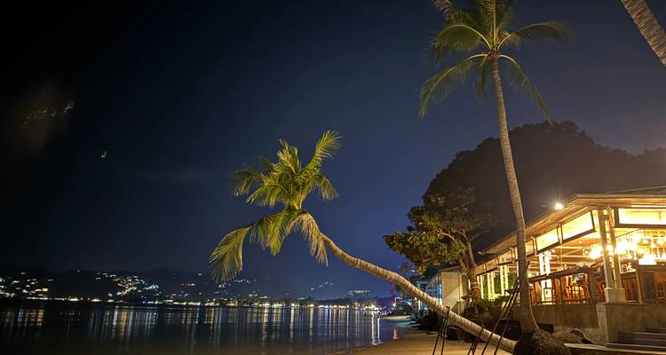 Nachtelijk strandtafereel met palmboom en verlicht restaurant.