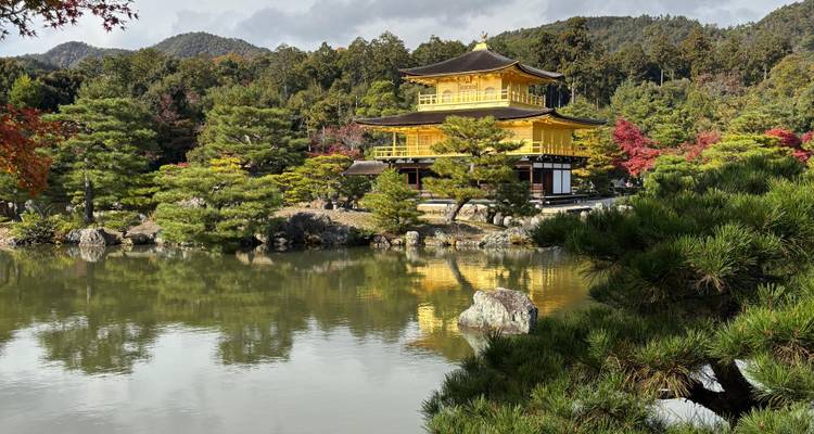 Pabellón Dorado en medio de un estanque sereno y exuberante vegetación.