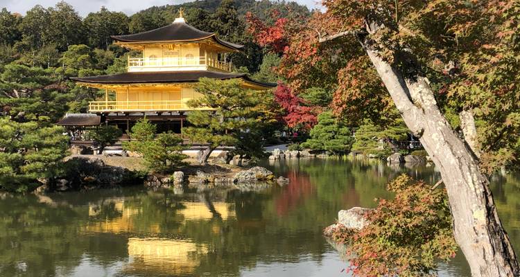 Pabellón Dorado icónico con reflejo en estanque, rodeado de árboles.