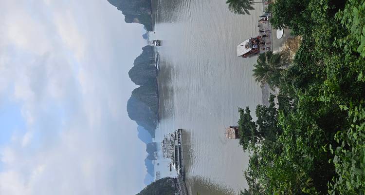 Uitzicht op Ha Long Bay met boten op het water.