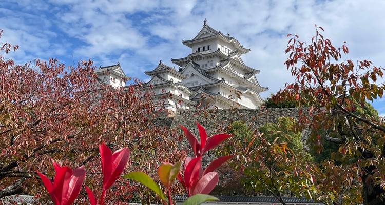 Castillo de Himeji con un primer plano otoñal vibrante y colorido.