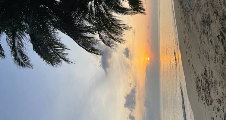 Des palmiers et une plage tranquille au coucher du soleil.