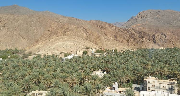 Pueblo de Omán rodeado de palmeras con montañas al fondo.