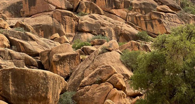 Große Felsbrocken und Steine, mit etwas Grün drumherum.
