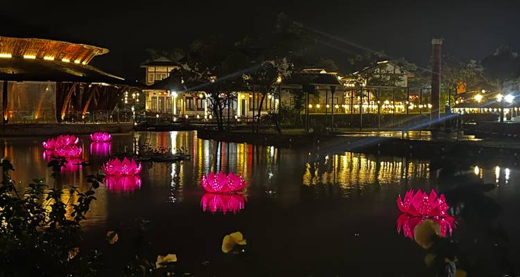 Eine nächtliche Szene mit beleuchteten Seerosen auf einem Teich.