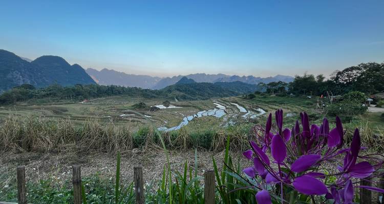 Malerische Aussicht auf Reisterrassen und Berge in der Dämmerung.