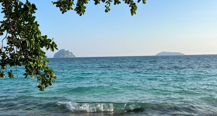 Vue de l'océan avec des îles au loin et des branches d'arbres encadrant la scène.
