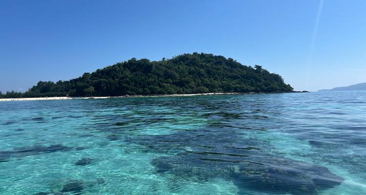 Eau claire avec des formations coralliennes visibles et une île boisée en arrière-plan.