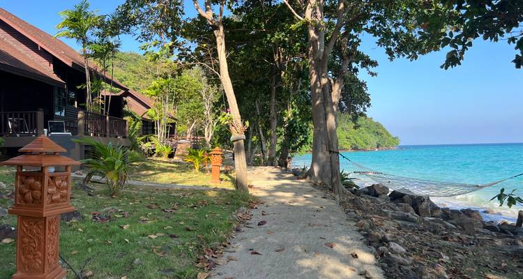 Un sentier en bord de mer avec des arbres et un hamac donnant sur l'océan.