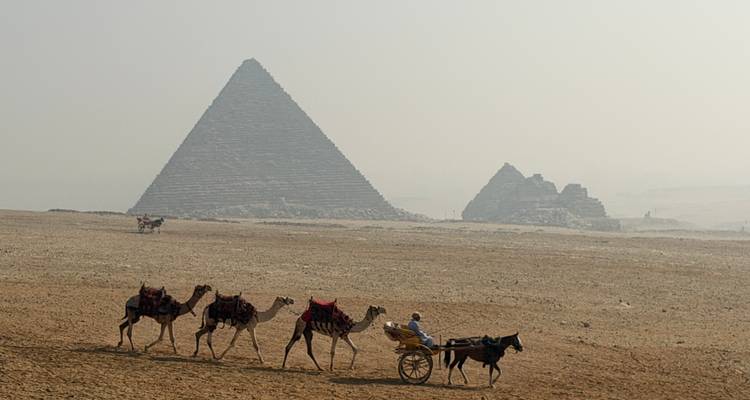 Kamele und ein Karren in der Nähe der Pyramiden von Gizeh unter einem dunsigen Himmel.