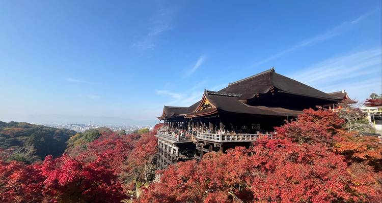 Temple japonais traditionnel avec feuillage d'automne au premier plan et vue sur la ville au loin.
