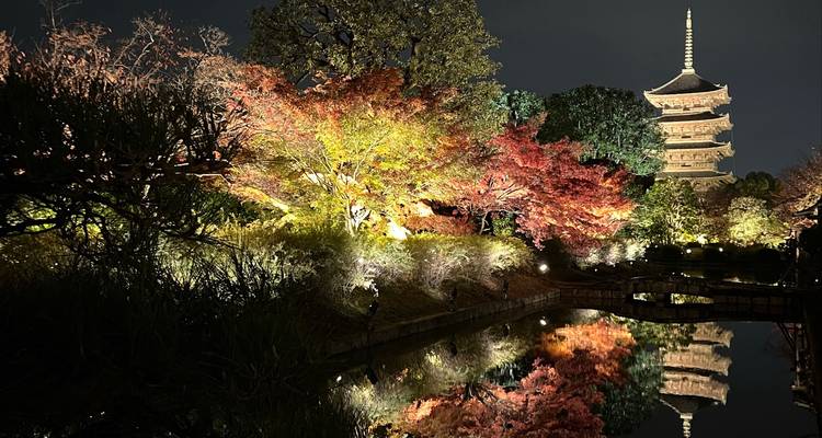 Pagode illuminée et arbres d'automne se reflétant dans l'eau la nuit.