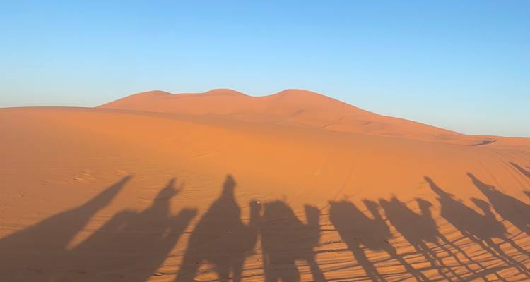 Schatten von Kamelen und Menschen auf dem Wüstensand