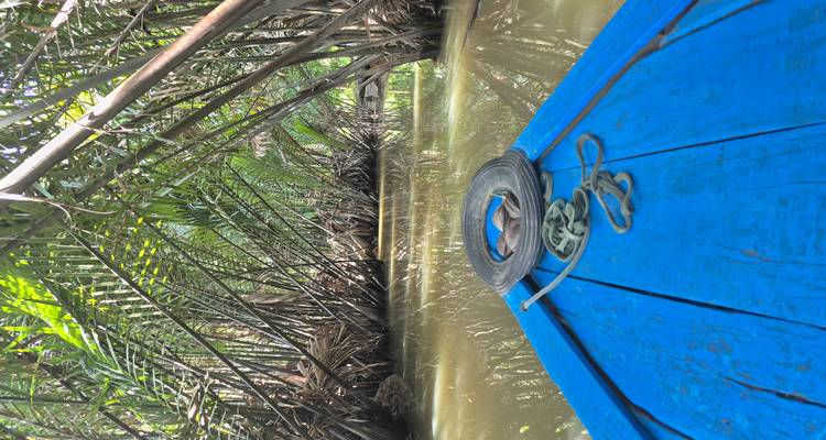 Uitzicht vanaf een boot die door een waterweg met dichte begroeiing vaart.