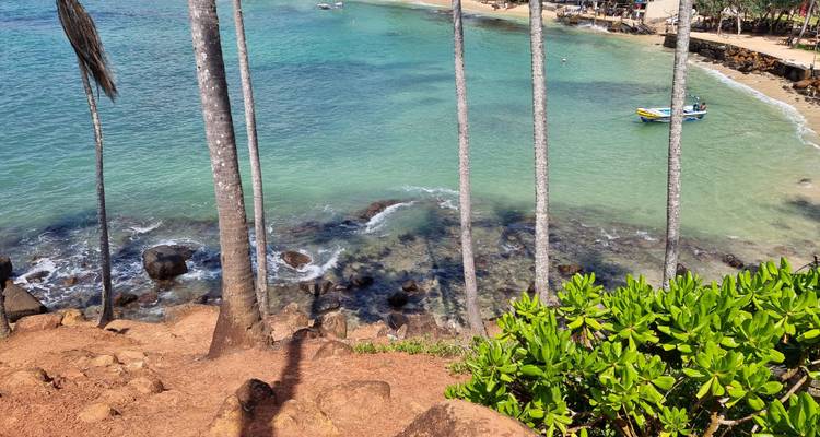 Kokospalmen die uitkijken over een turquoise baai.
