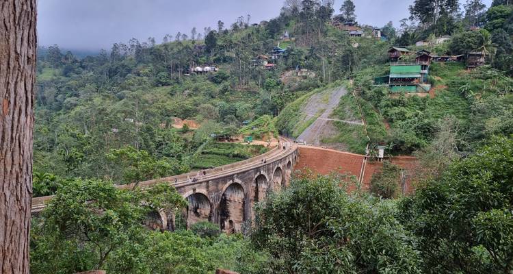 Luchtfoto van een brug over weelderige groene valleien.