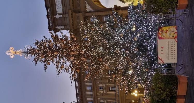 Kerstboom op een stadsplein met sierlijke decoraties.