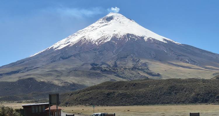 Cotopaxi-vulkaan met een besneeuwde top onder een heldere hemel.