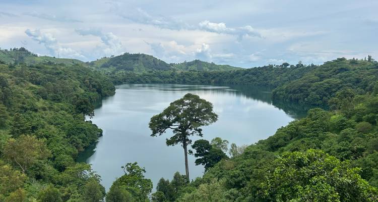 Schilderachtig uitzicht op een meer omringd door weelderig groen.