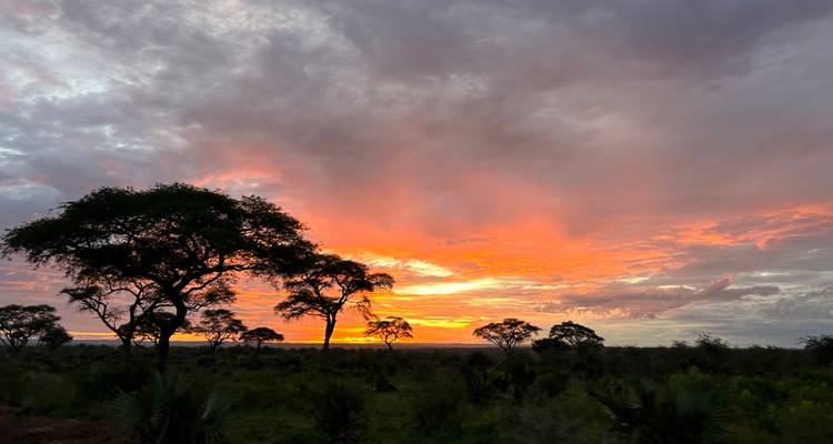 Levendige zonsondergang boven een Afrikaanse savanne.