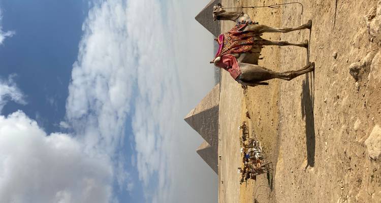 Kameel met traditioneel zadel voor de Piramides van Gizeh.