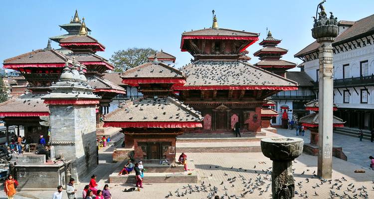 Une place de temple animée avec une architecture vibrante et de nombreux pigeons à Kathmandu.