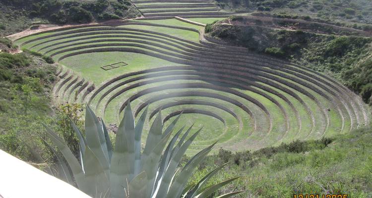 Circular agricultural terraces in a green landscape.