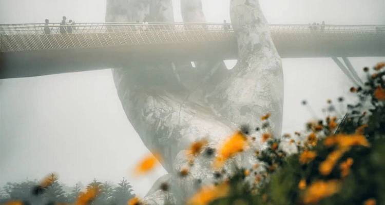 Pont Doré dans le brouillard avec des fleurs sauvages au premier plan.