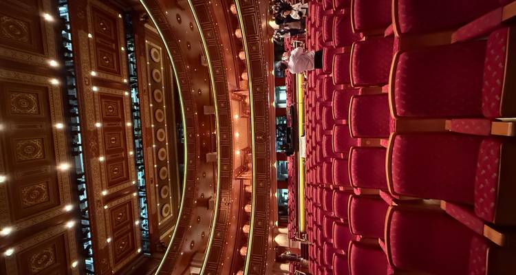 Interior de un gran teatro con asientos rojos y decoración intrincada.