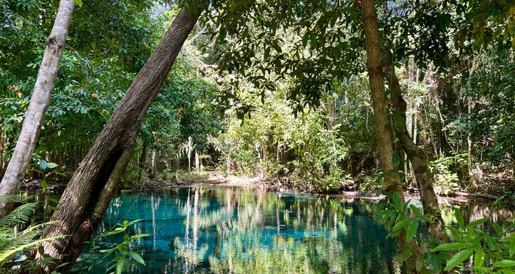 Eau bleu clair entourée d'arbres dans une forêt.