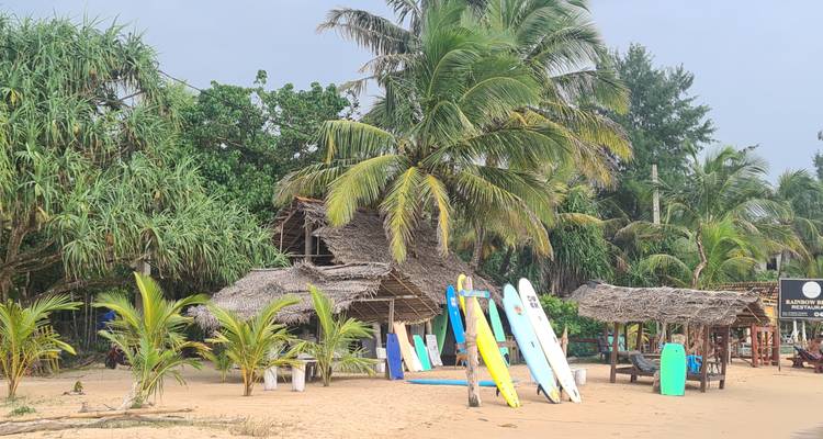 Tropischer Strand mit Surfbrettern und Palmen.