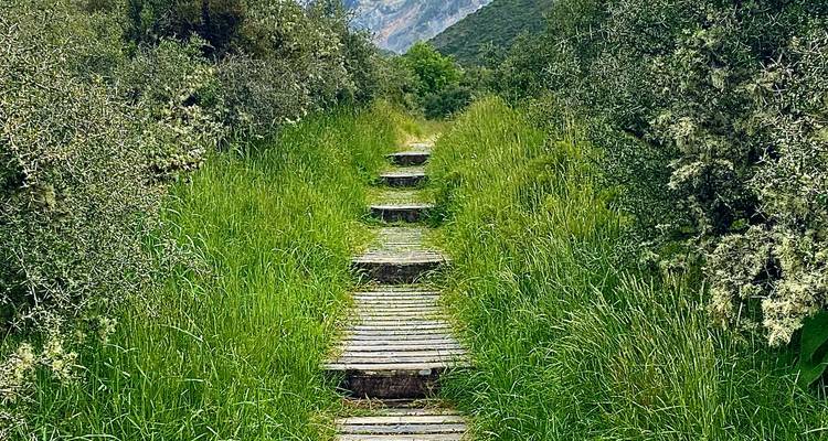 Sentier à travers une végétation luxuriante menant à des vues sur les montagnes.