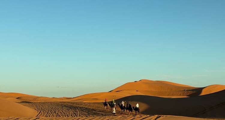 Caravane de chameaux traversant les dunes de sable