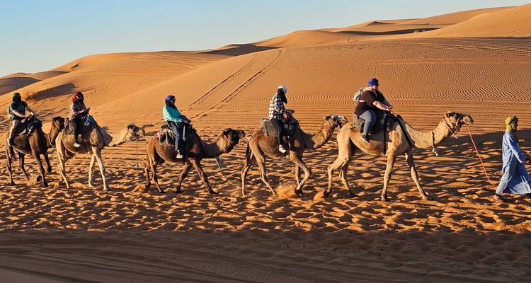 Camel caravan in Merzouga desert.