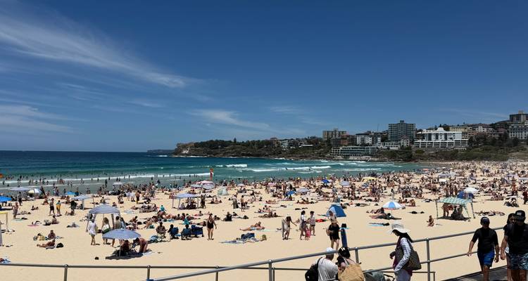 Playa abarrotada con muchas personas y sombrillas.