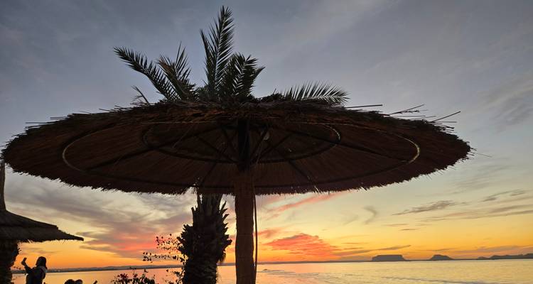 Beach scene with sunset and palm umbrellas.