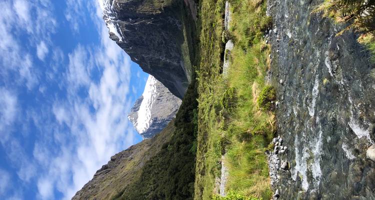 Río que fluye a través de un valle exuberante con montañas.