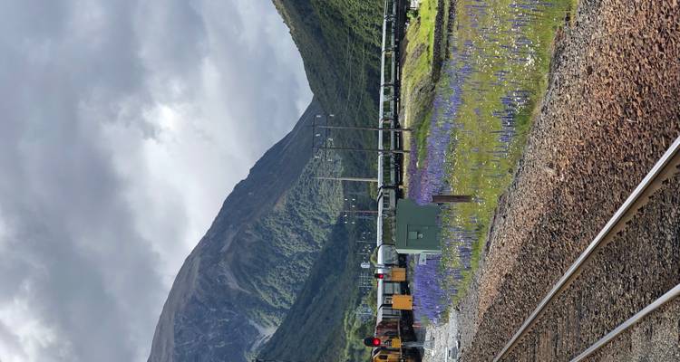 Vías férreas con un fondo de montañas exuberantes y flores silvestres.
