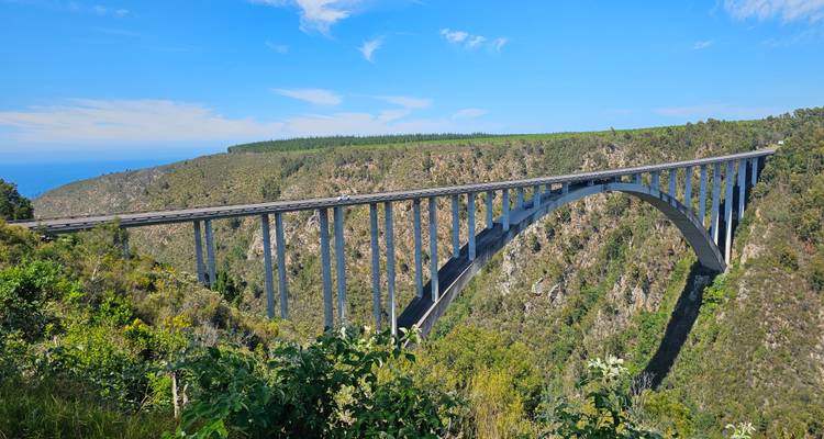 Une vue panoramique d'un grand pont enjambant une gorge.