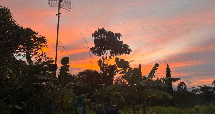 Hermosa vista del atardecer sobre un paisaje exuberante con árboles.