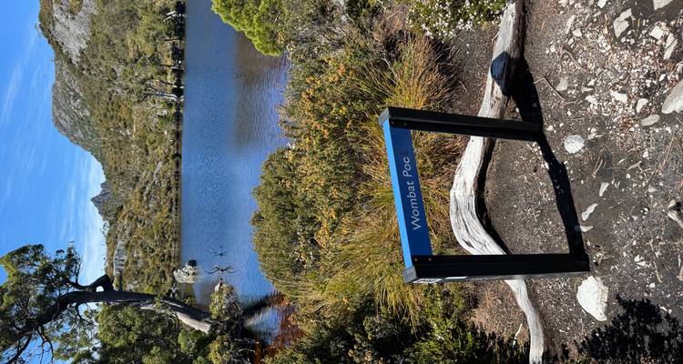 Vista del lago con montañas y cielo despejado.