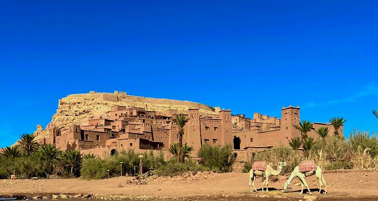 Une ancienne forteresse en adobe avec des chameaux au premier plan.
